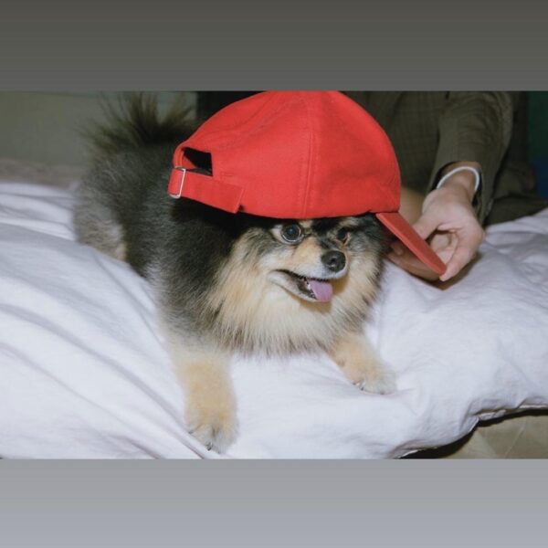 Taehyung IG Stories 170823