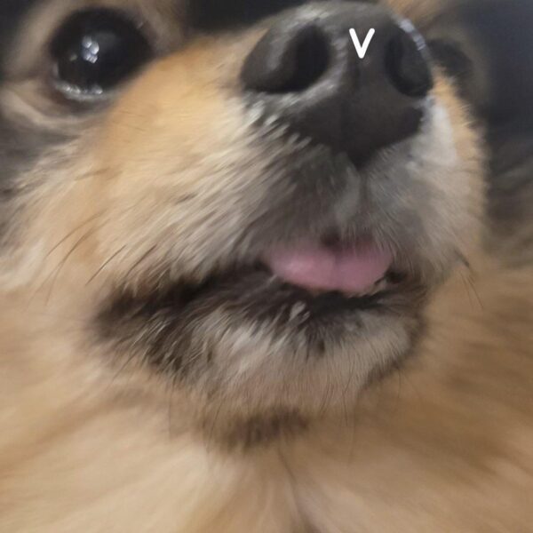 Taehyung IG Story (2) 090823