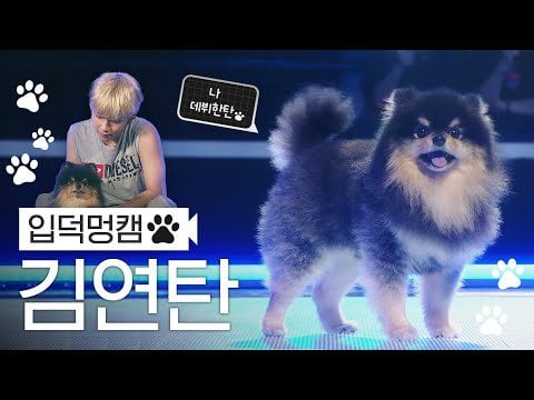 [Mnet M Countdown] 4K 'Slow Dancing' V YEONTAN FanCam EP.814 - 200923
