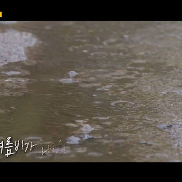 230903 Preview of V’s guest appearance on Running Man