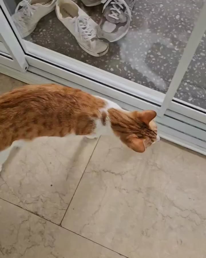 Namjoon IG Post (video 2) - 270923