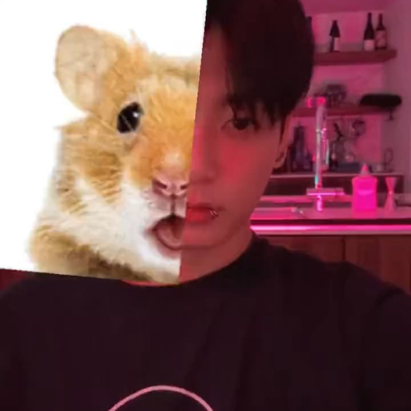 Jungkook TikTok Story (2) 211023