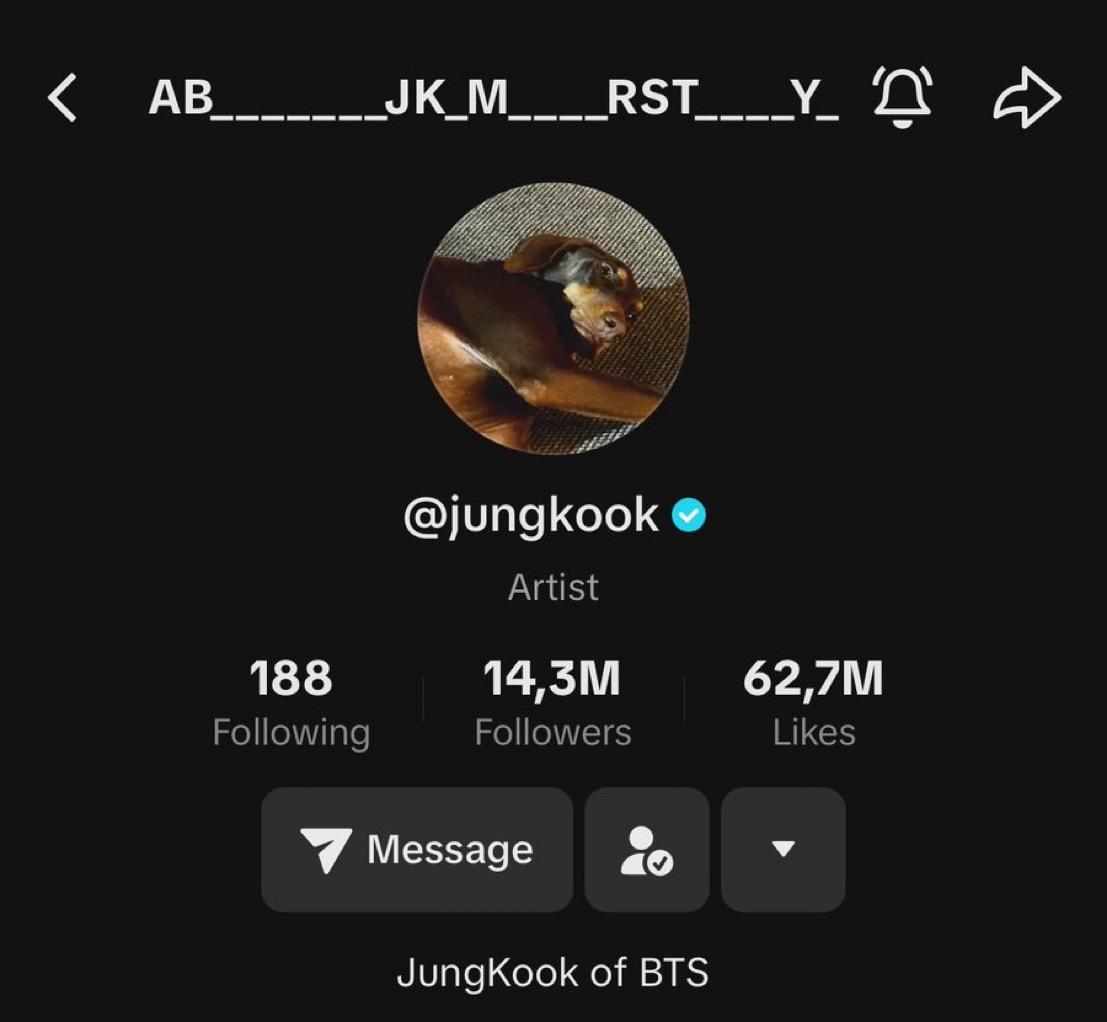 Jungkook changed his TikTok display name - 181023