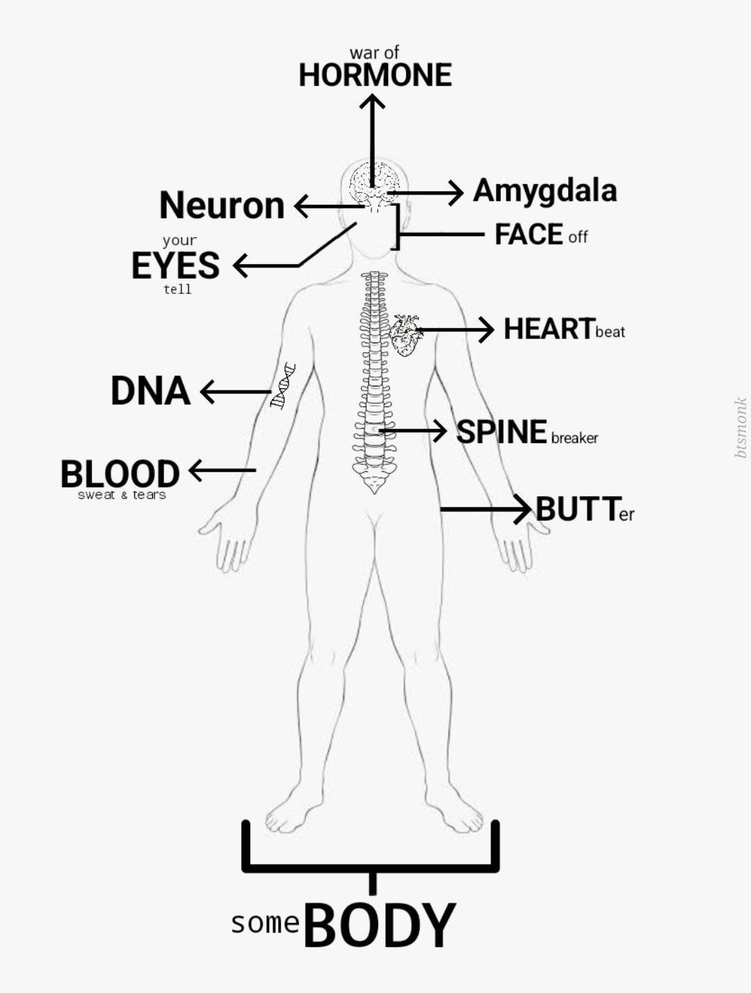 Love the anatomy lesson