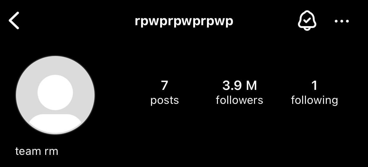 240423 The rpwprpwprpwp Instagram account’s bio has been edited to “team rm”