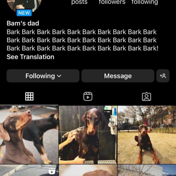 Jungkook returns to Instagram under bowwow_bam aka Jeon Bam’s Dad - 140424