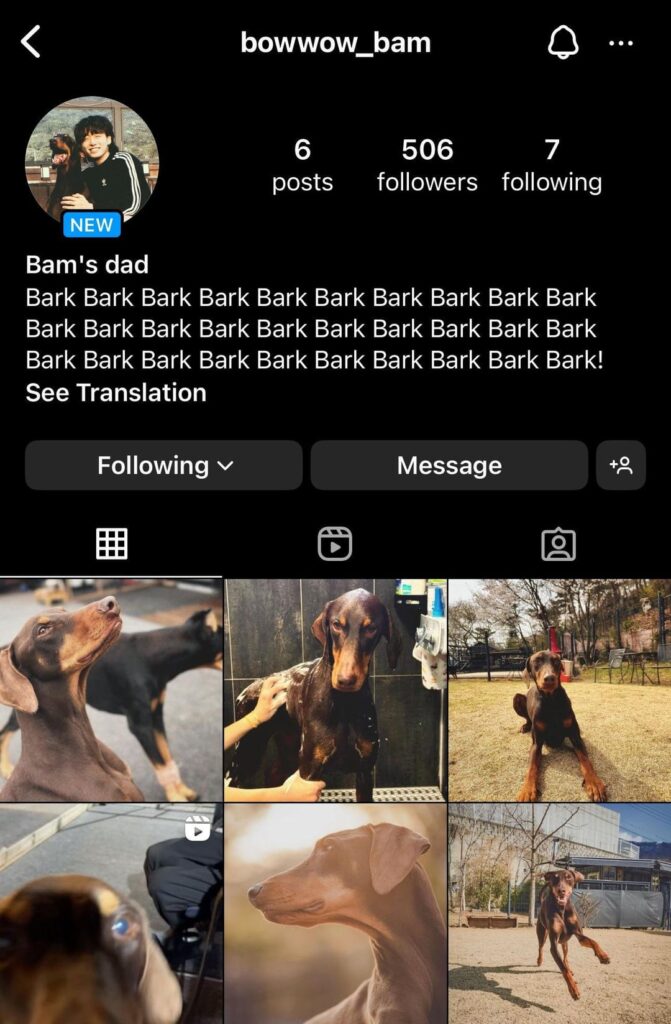 Jungkook returns to Instagram under bowwow_bam aka Jeon Bam’s Dad - 140424
