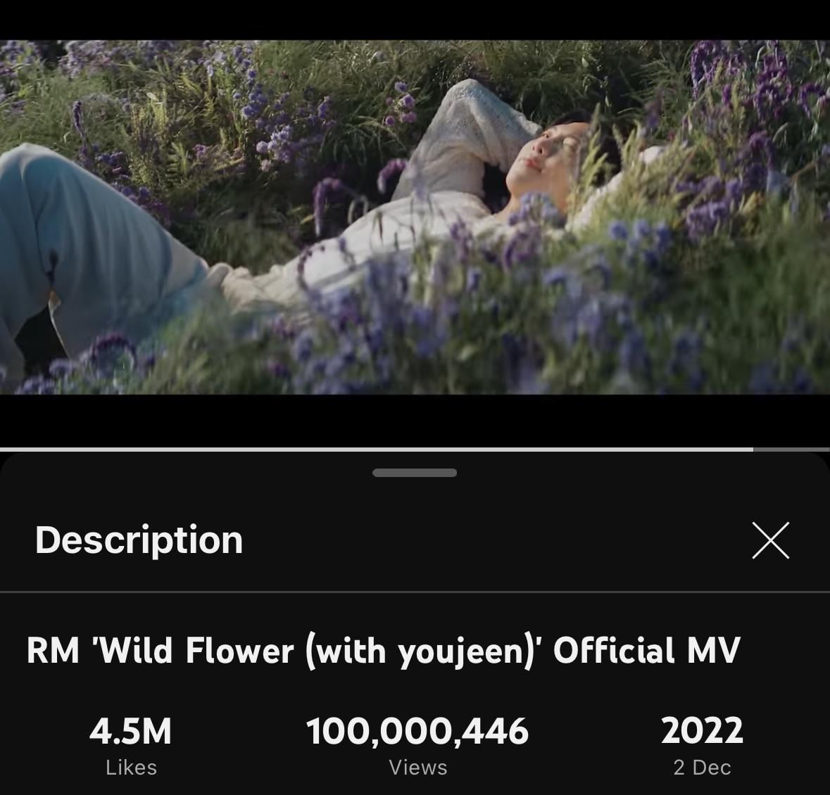 RM’s ‘Wild Flower (with youjeen)’ MV has surpassed 100 million views on YouTube! - 270424