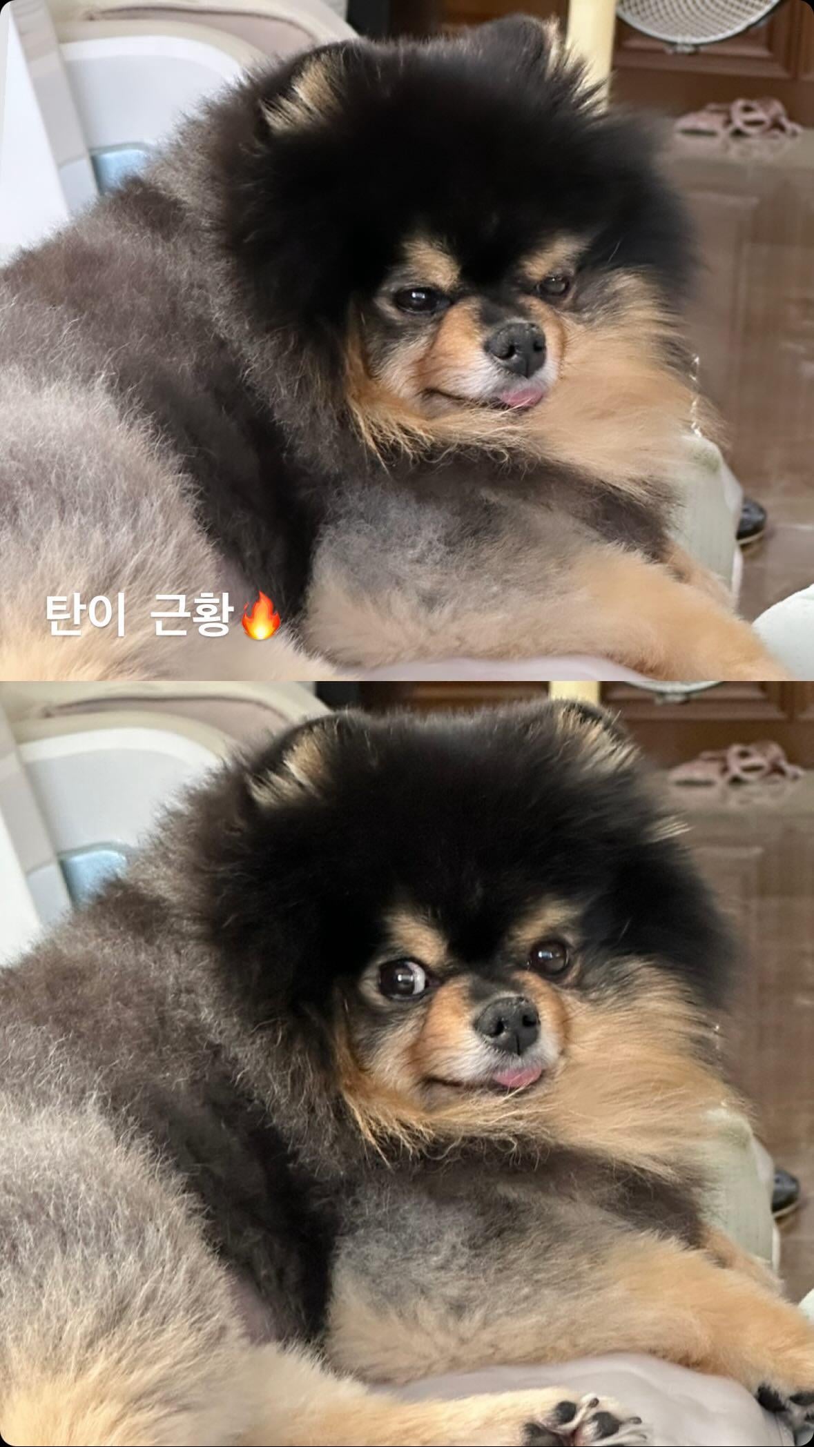 Taehyung IG Story (2) (feat. Yeontan!!!) 190524