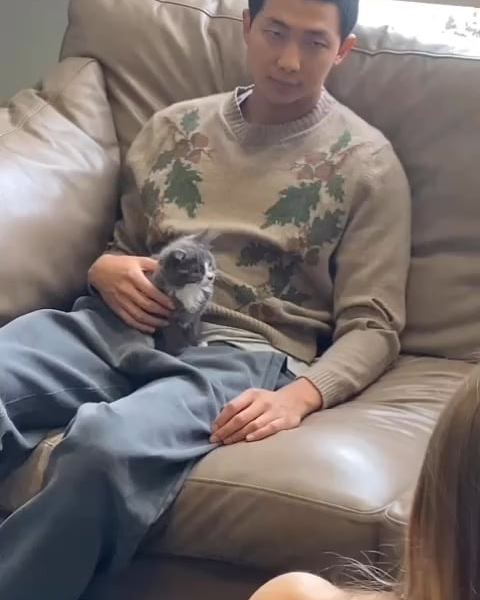 Newt the small grey cat IG Post with Namjoon - 250524