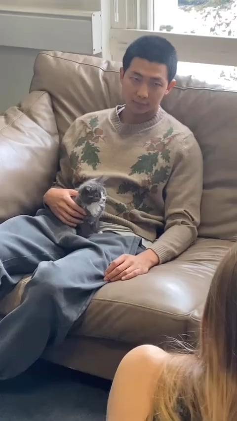 Newt the small grey cat IG Post with Namjoon - 250524