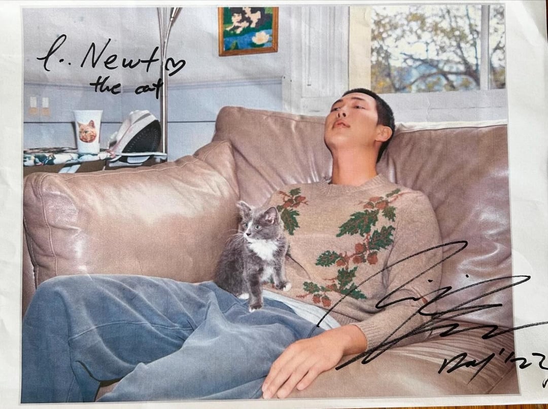 Newt the small grey cat IG Post with Namjoon - 270524