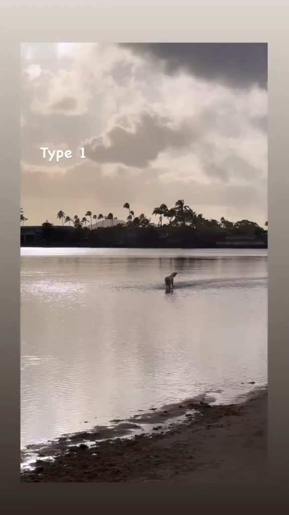 Taehyung IG Story (3) 260624