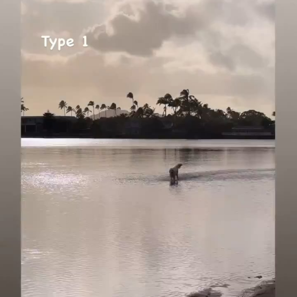 Taehyung IG Story (3) 260624