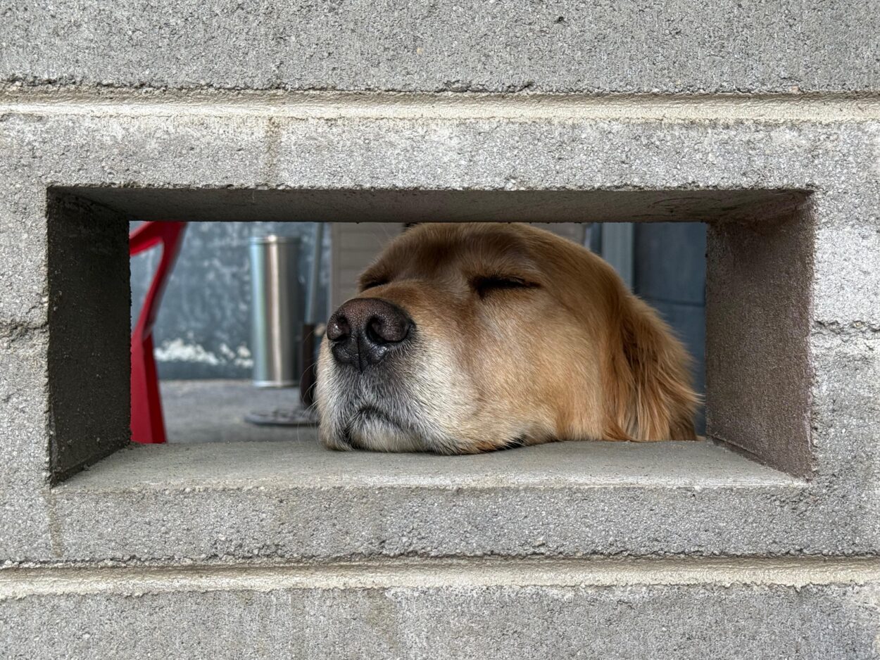 Taehyung Weverse 100525