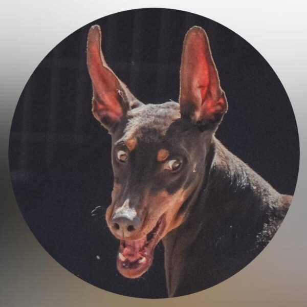 The profile pic for Bam’s IG account has been updated - 150525