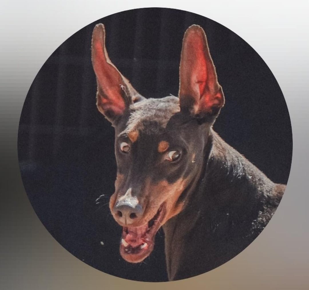 The profile pic for Bam’s IG account has been updated - 150525