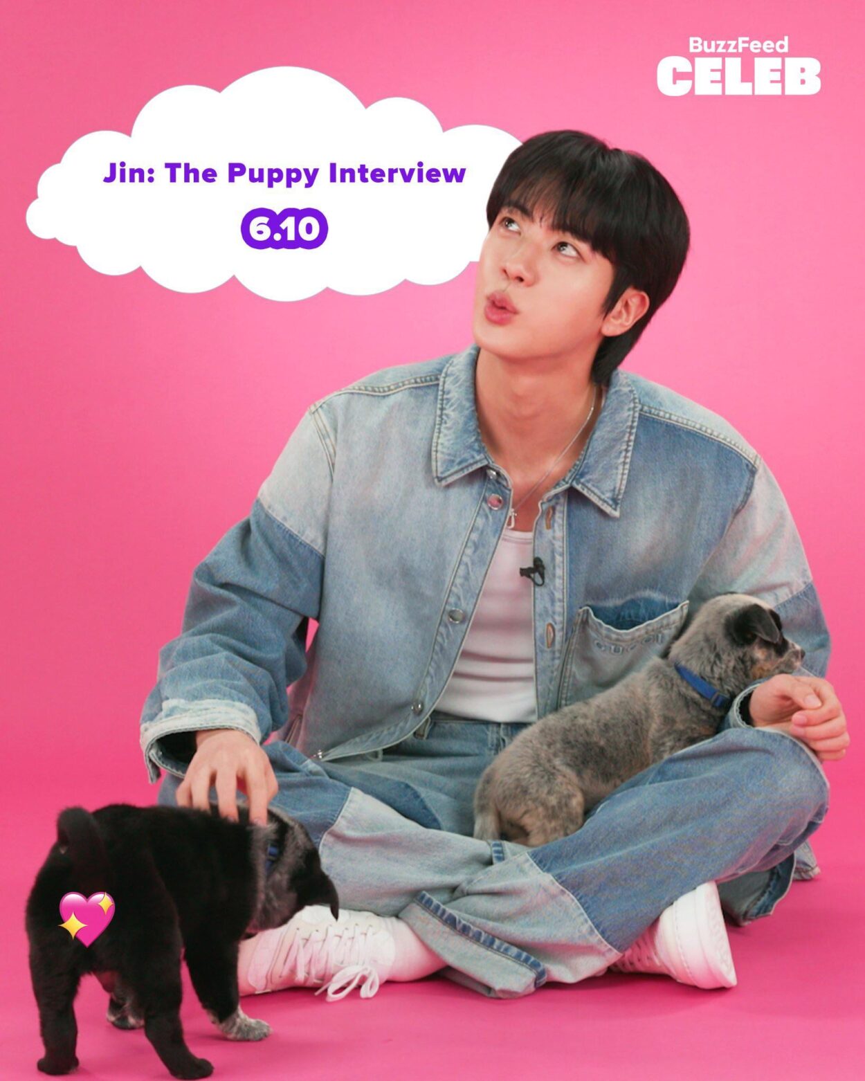 [Buzzfeed Celeb IG Post] 2. More. Days. Jin x Puppy Interview 6/10. - 090625
