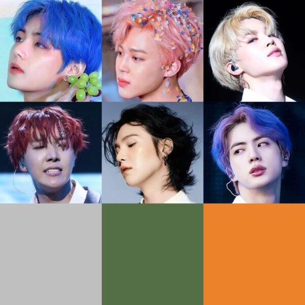 Which member had the most ICONIC sliver/grey hair?