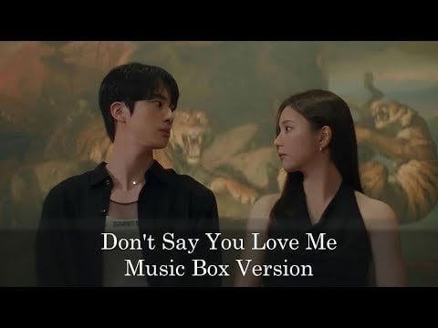 Don's Say You Love Me Music Box Cover