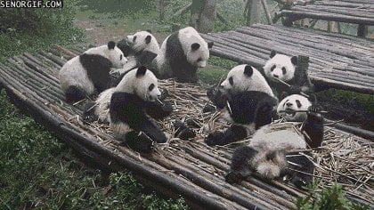 YAAAAAWN! We're up! We're up!
