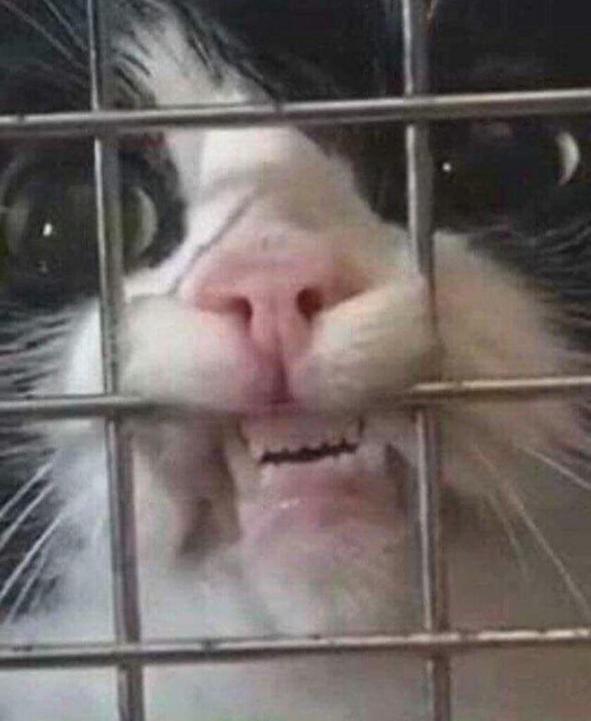 Mods Asleep!                                        What song/photo/video makes you go like this?