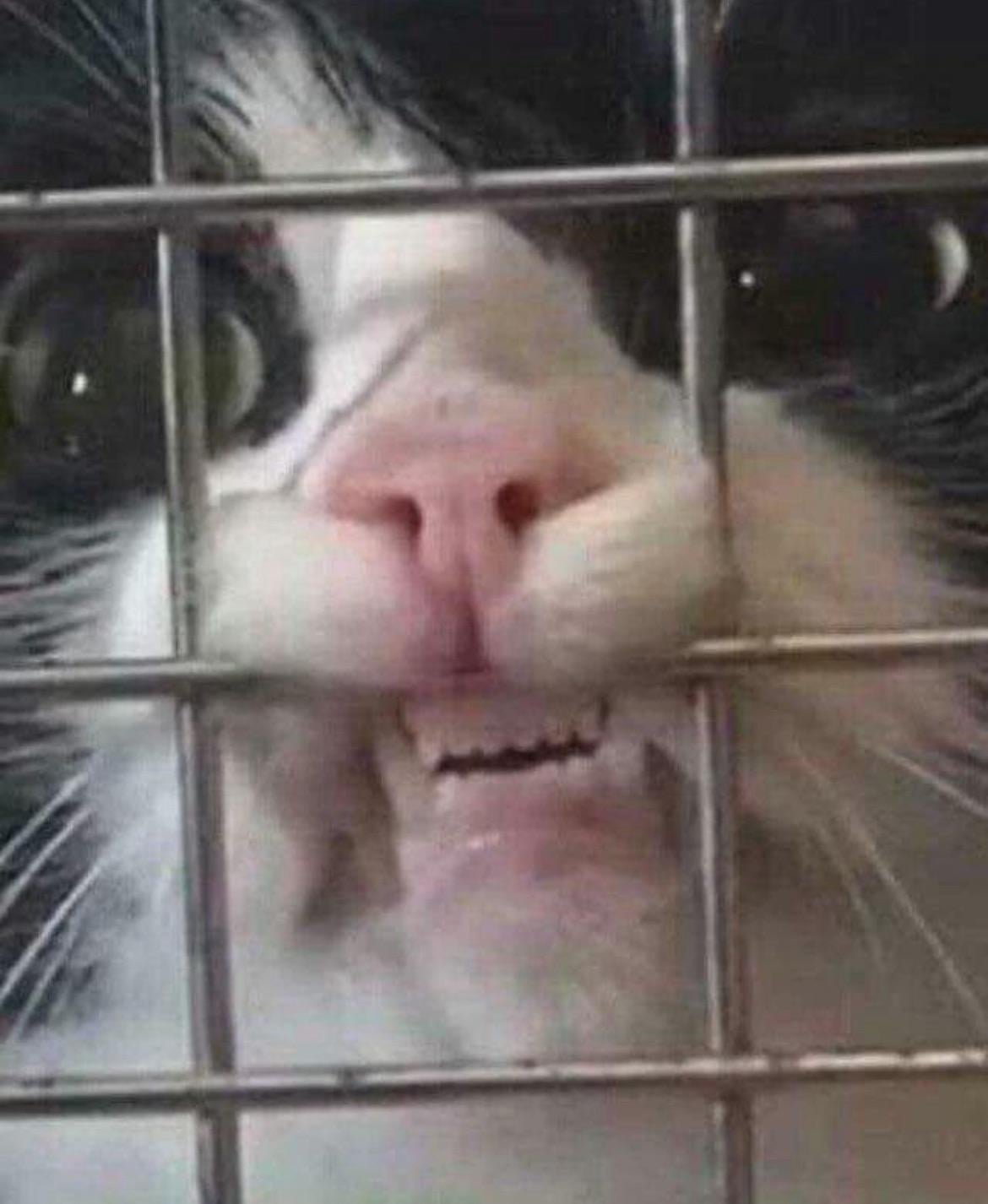 Mods Asleep!                                        What song/photo/video makes you go like this?