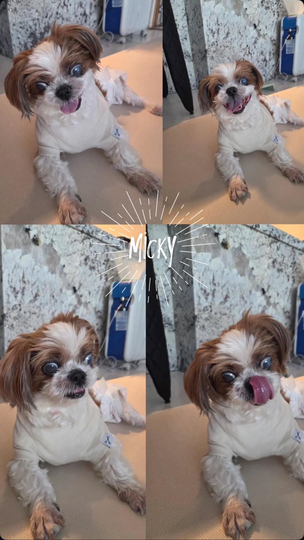 Hobi IG Story 150725