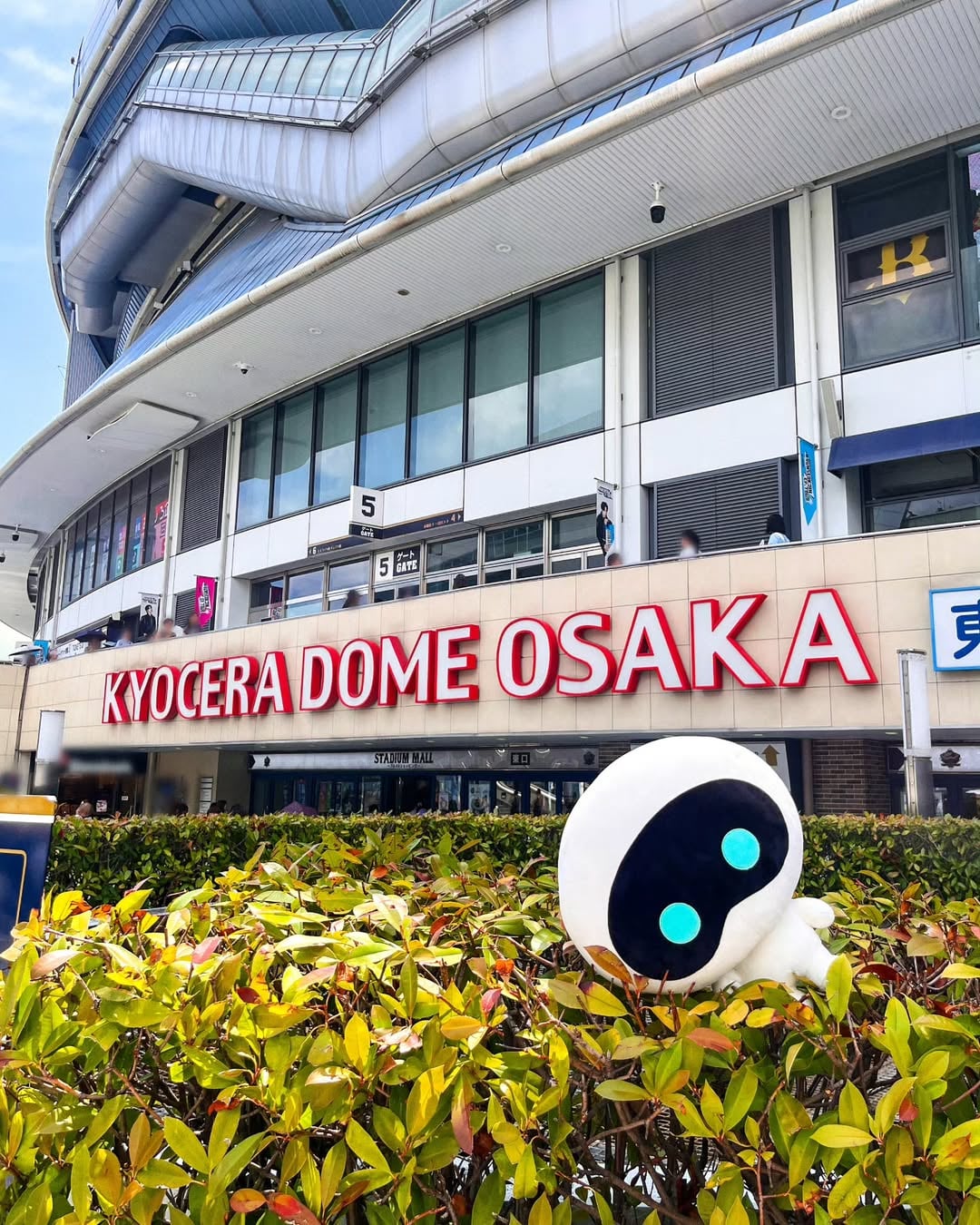 wootteo IG Post 120725