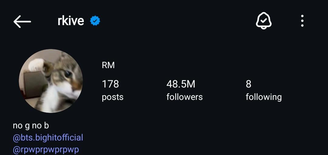 Namjoon has updated his Instagram bio to ‘no g no b’ - 100825