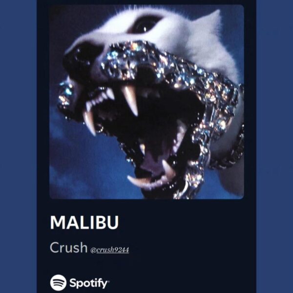 Hobi IG Story 290825