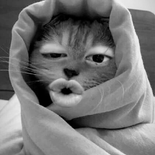 Taehyung IG Story (2) 251025