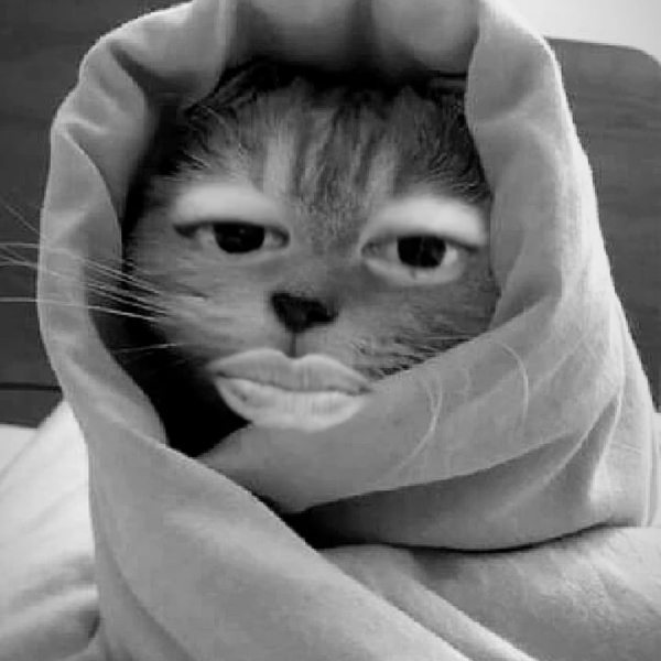 Taehyung IG Story (2) 251025