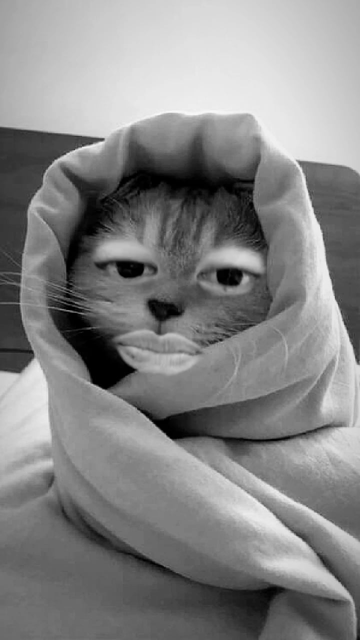 Taehyung IG Story (2) 251025