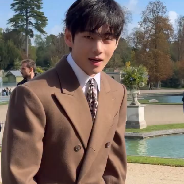 Elle Japan IG Post with Taehyung at the Celine Summer 2026 show - 051025