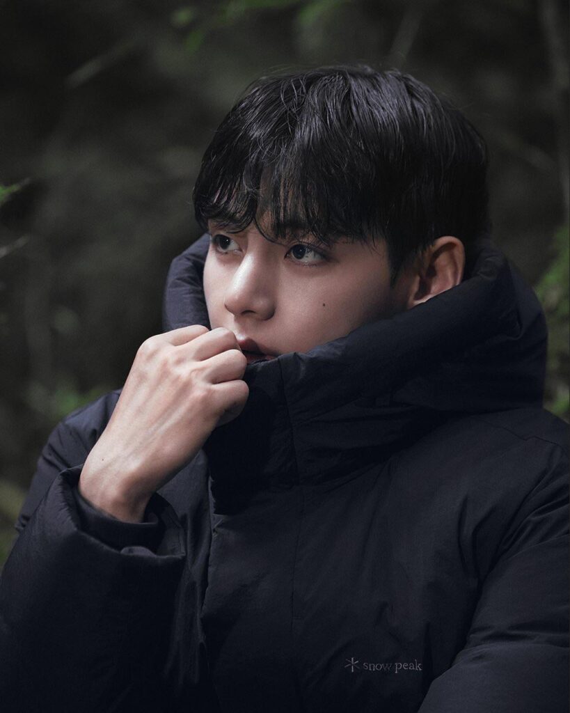 251027 Snow Peak on Twitter feat. V
