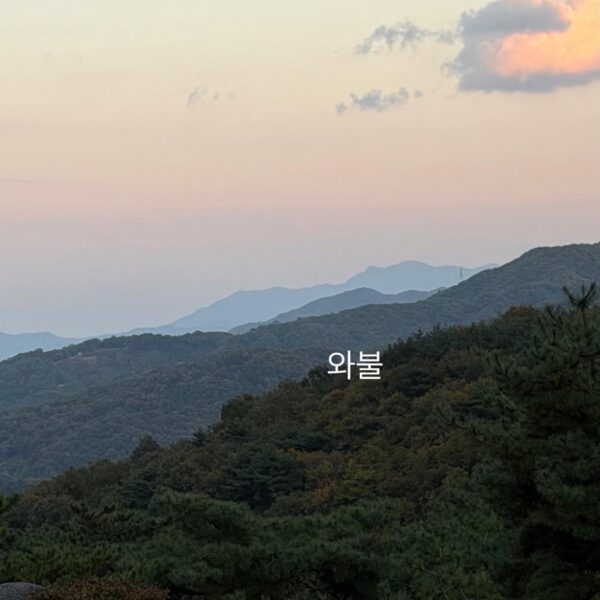 Namjoon IG Story (2) 011125