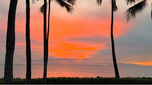 251119 V on Weverse Live