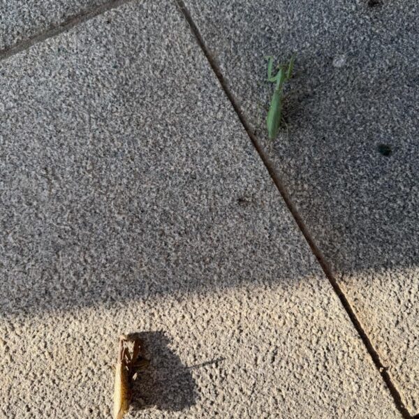 Namjoon IG Story (2) 031125