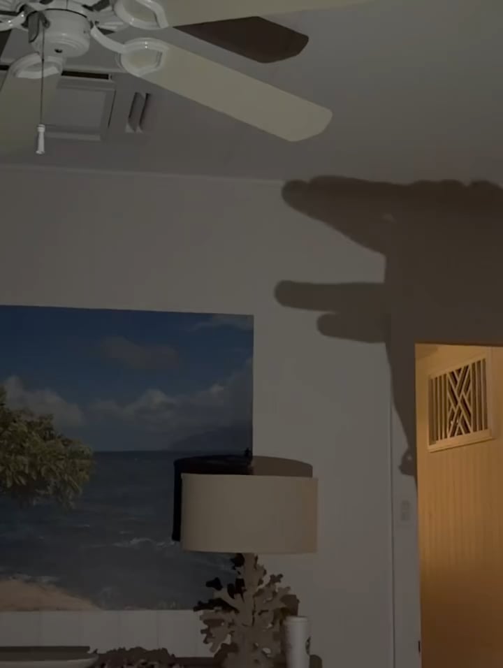 Taehyung IG Post (video 1) - 281125