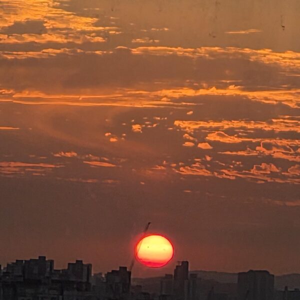 251111 Jimin on Weverse