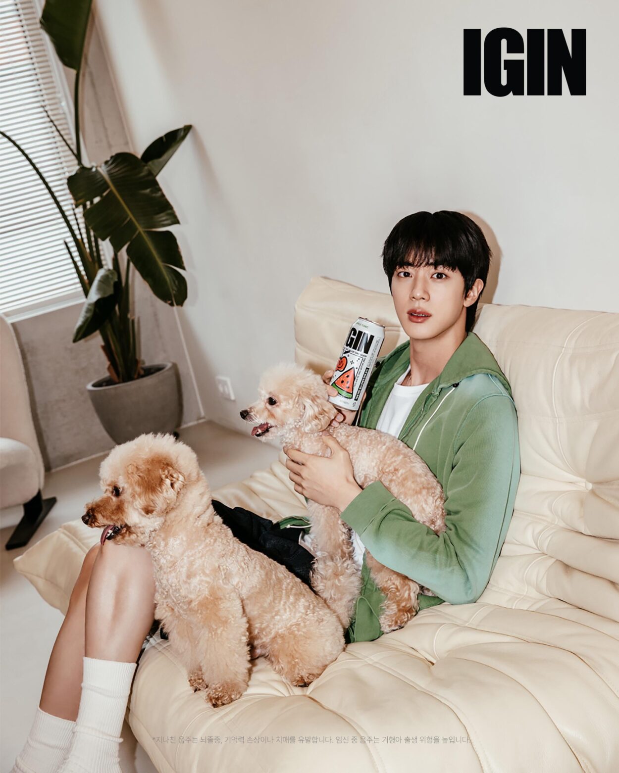 IGIN IG Post feat. Jin - 171125