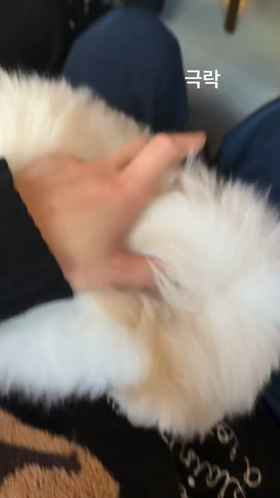 Namjoon IG Story 251225