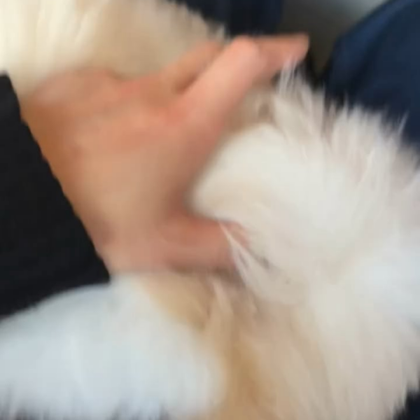 Namjoon IG Story 251225