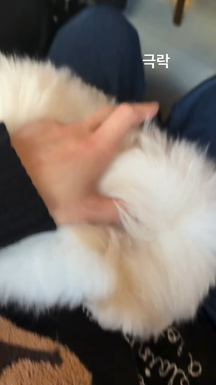 Namjoon IG Story 251225