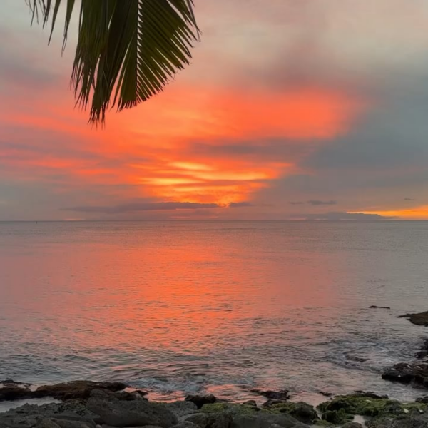 Taehyung IG Video (2) 091225