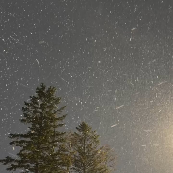 Namjoon IG Story(3) 041225