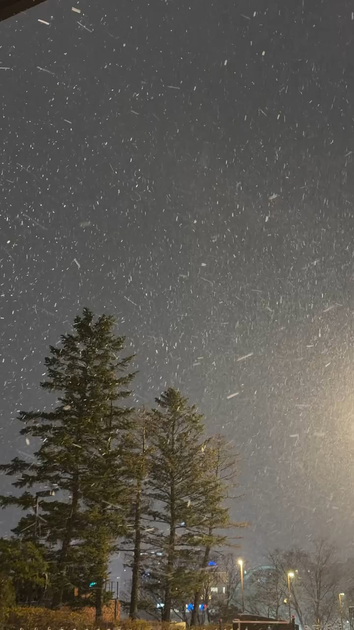 Namjoon IG Story(3) 041225