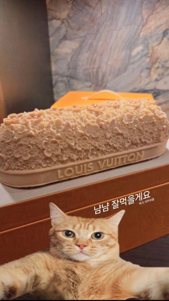 Hobi IG Story (2) 241225