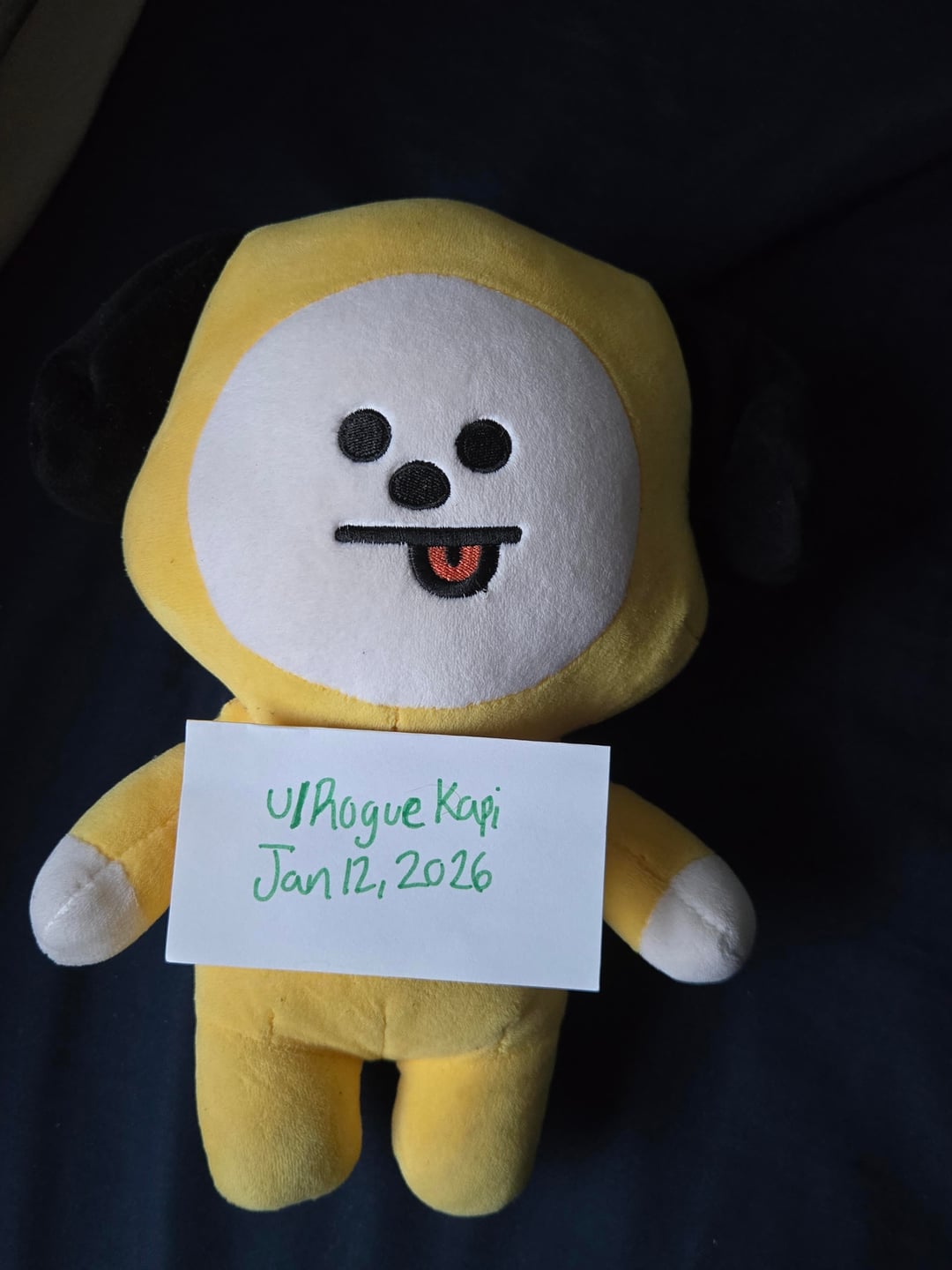 [WTS][USA Only] Official BT21 Chimmy and Tata Plush